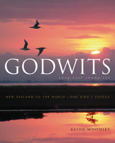 Godwits – by Keith Woodley