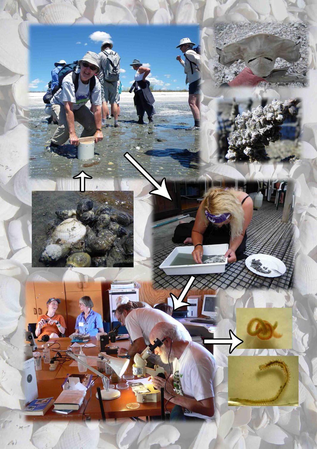 Join us for our next Field Course January 2012