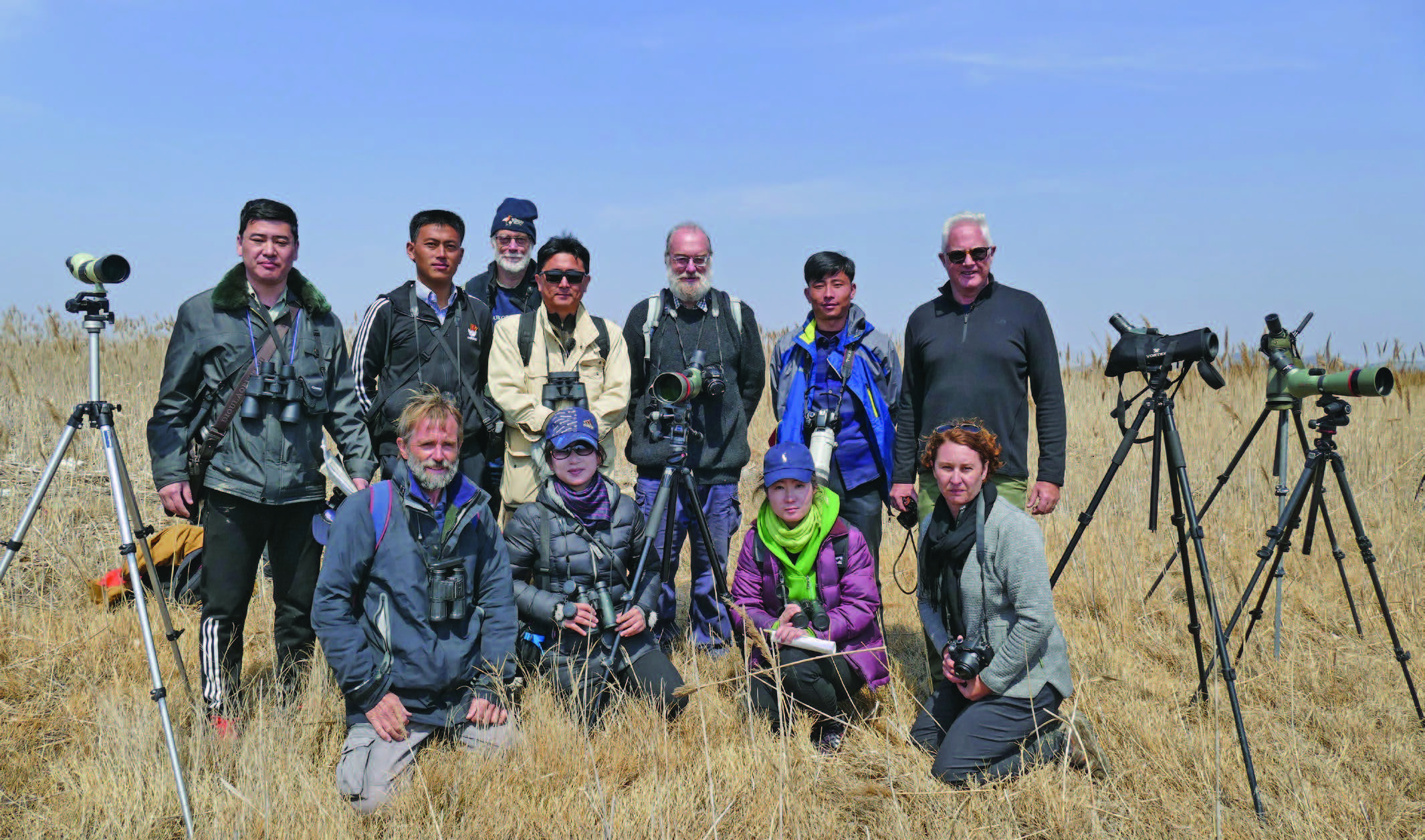 pukorokoro miranda shorebird centre sindo sunday programme godwit migration