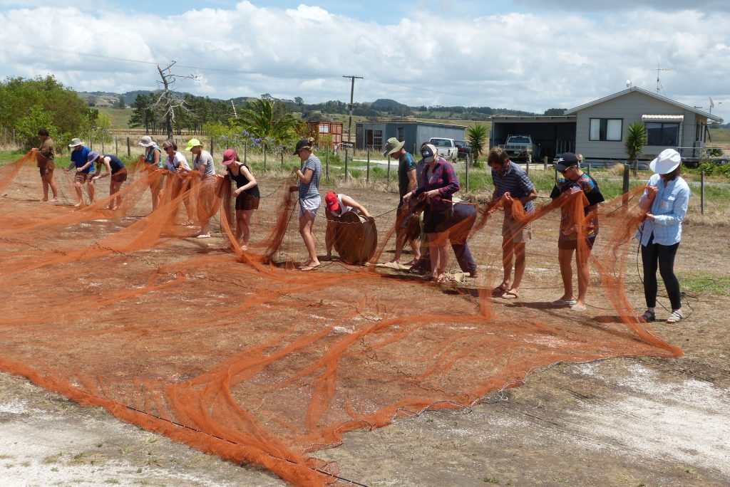 Pukorokoro Miranda Shorebird Centre course 