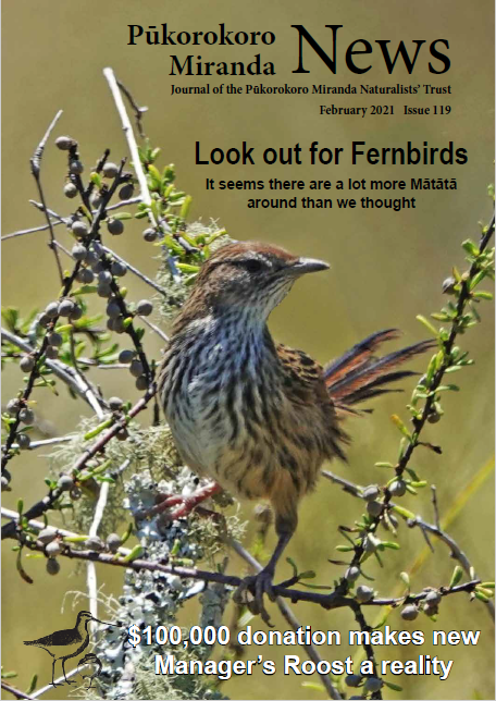 Shorebird Centre News Feb 2021
Fernbird
Magazine cover