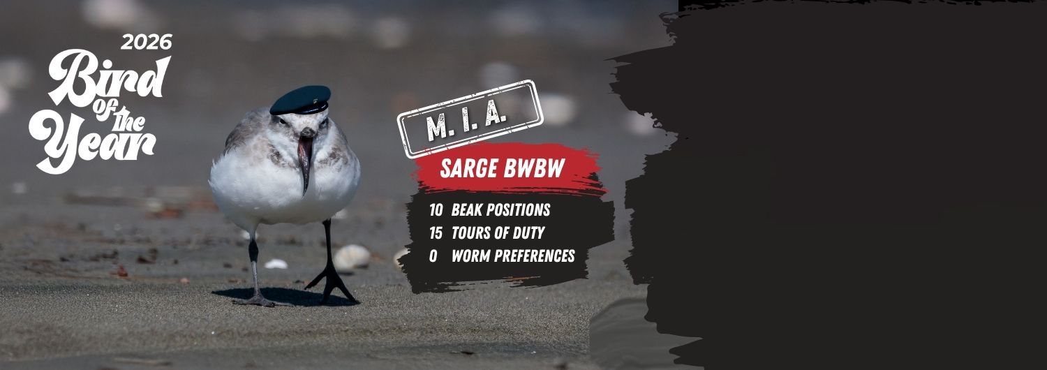 Bird of the Year 2026. MIA - Sarge BWBW